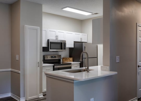 Kitchen with sleek quartz countertops  at Wyndchase  Aspen Grove, Franklin