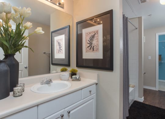 Luxurious Bathrooms at Stoneleigh on Spring Creek, Garland, 75044