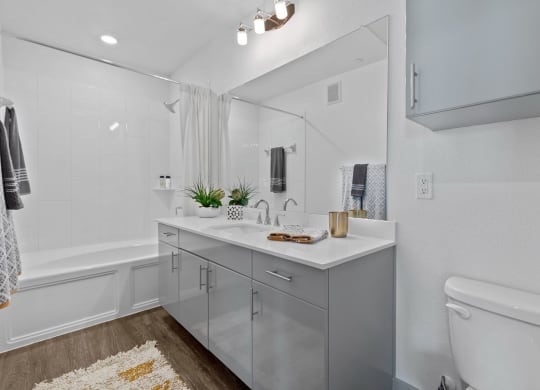 Bathroom interior1 at Reveal Skyline  at La Cantera, San Antonio