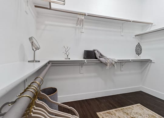 Closet at Reveal Skyline s at La Cantera, Texas, 78256