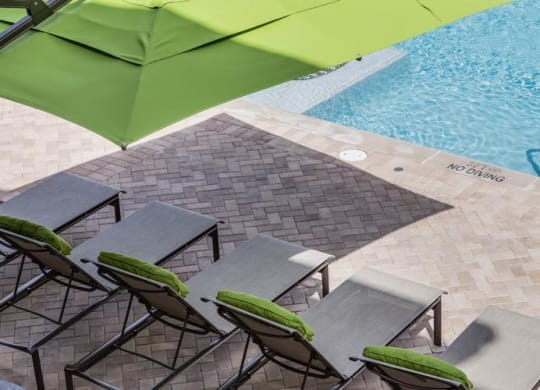 Pool With Sundeck at Berkshire Medical District, Dallas, Texas