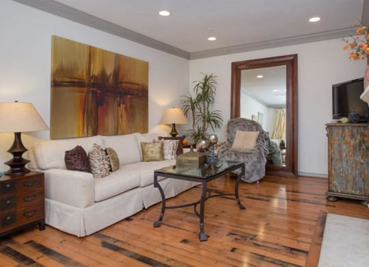 Open Concept Living Room at Estancia Townhomes, Dallas