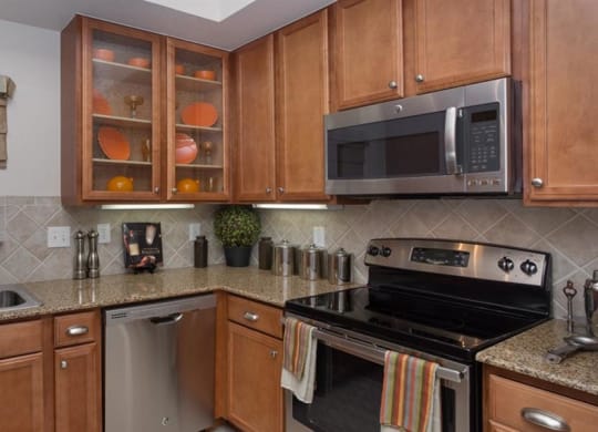 Chef's Kitchen at Estancia Townhomes, Texas
