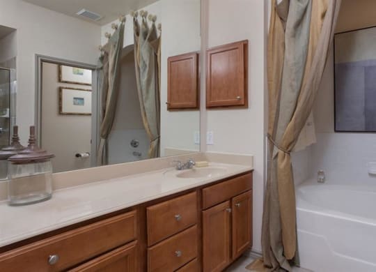 Soaking Tub at Estancia Townhomes, Texas, 75248