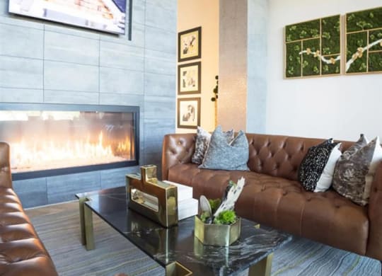 social lounge with a fireplace at The Gabriella apartments