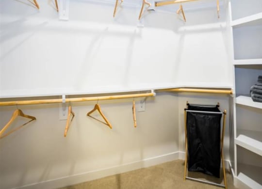 a closet with boutique style organizers at The Gabriella apartments