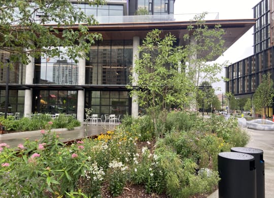 thick landscaping in front of Amazon HQ2 at The Millennium, Arlington, VA, 22202