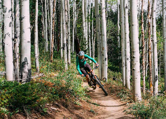 A person in a green jacket and white helmet is riding a bicycle on a trail in a forest of birch trees.