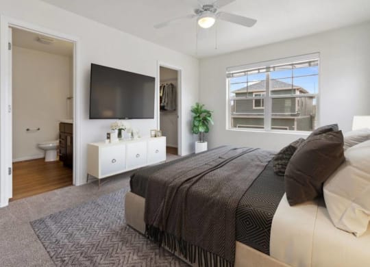 Bedroom With Expansive Windows at Belle Creek Commons, Henderson, 80640