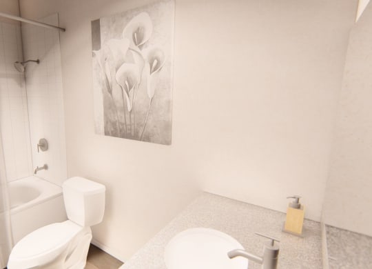 Bathroom with a toilet sink and shower at Brownstones at Palisade Park, Broomfield,  Colorado