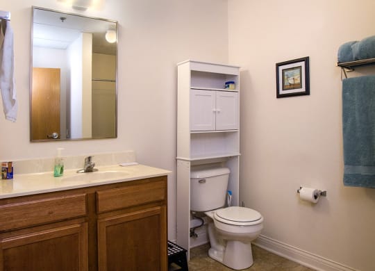 Bathroom at the Lofts at 5 Lyon, in downtown Grand Rapids, MI
