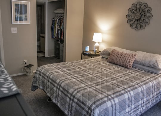 a bedroom with a bed and a closet