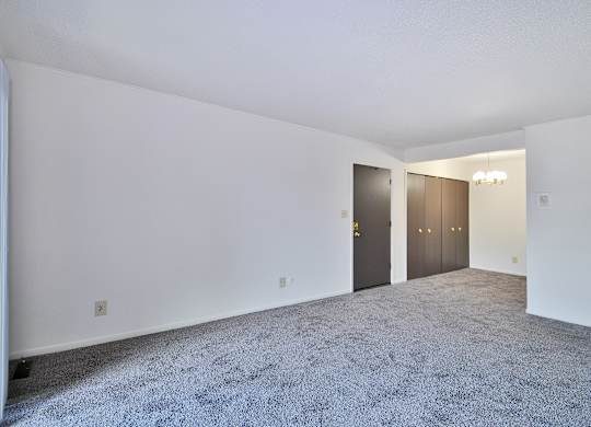 A room with carpeted floor and two doors.