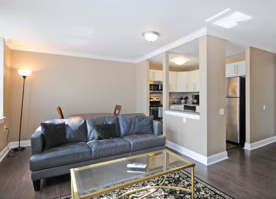 Living room and kitchen in view - spacious layout with plenty of room. Kitchen island. Apartments with hardwood floors near me.