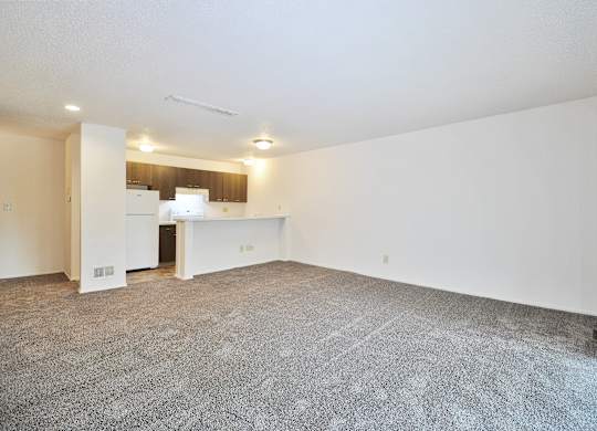 A spacious room with a white kitchenette and grey carpeting.