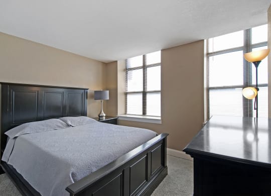 Spacious bedroom with natural light, walk-in closets, carpeting. Cozy one bedroom apartments in Saginaw.