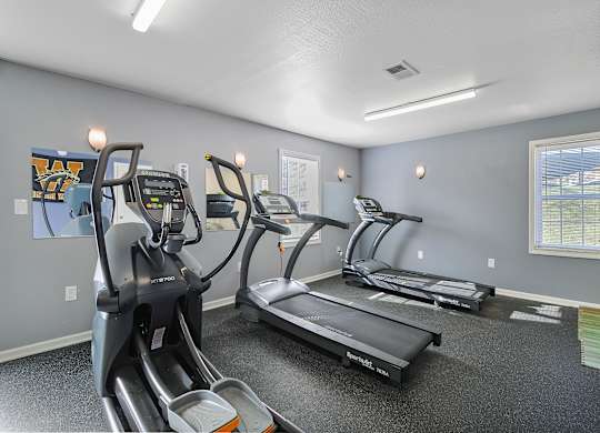 Apartments with a gym with treadmills and elliptical machines in Kalamazoo. Near WMU