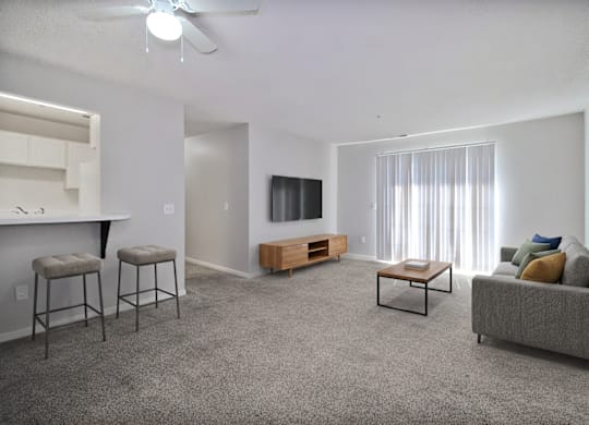 A living room with a grey carpet and furniture.
