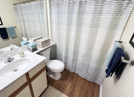 a bathroom with a sink and a toilet and a shower