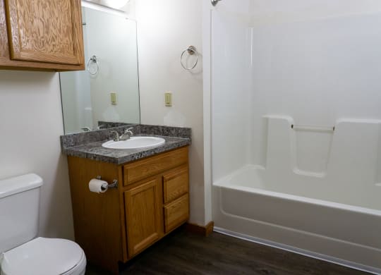 Apartments with updated bathrooms in Grand Rapids