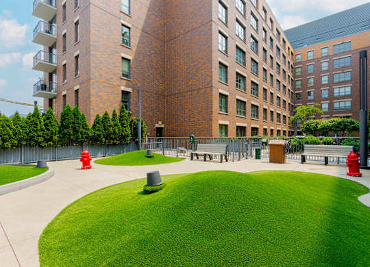 a grassy area for a dog park