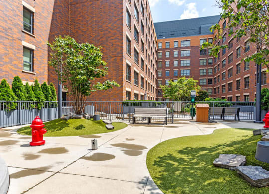 Outdoor dog park at The Madison at Racine, Chicago, IL, 60607