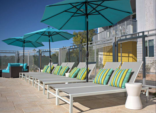 a row of lounge chairs with umbrellas on a patio at Novella Arcadia, Phoenix, 85018