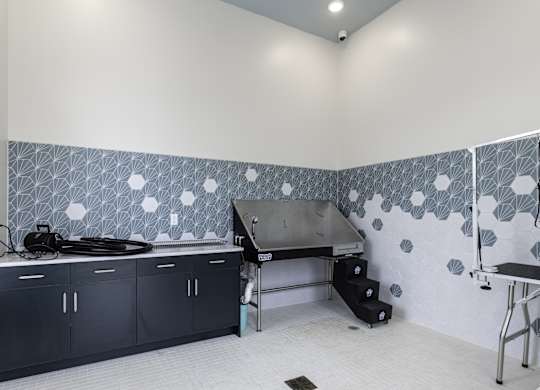 a kitchen with a stove and a sink