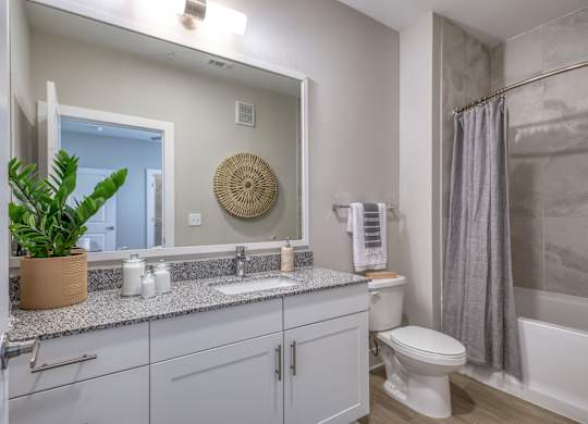 A bathroom with a white toilet, a sink, a mirror, and a plant.