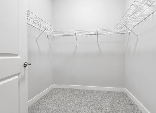 A white closet with a carpeted floor and a white door.
