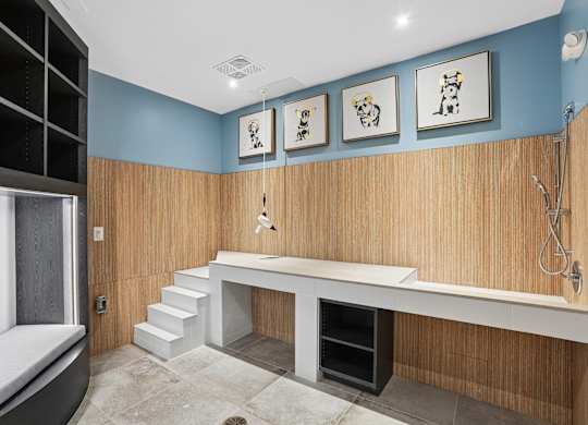 A bathroom with a blue wall and a white sink.
