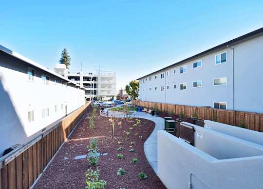 A courtyard with a gravel path and a few plants in the middle.