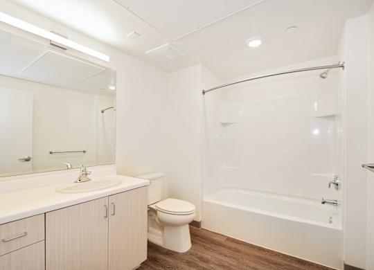 a bathroom with a shower toilet and sink
