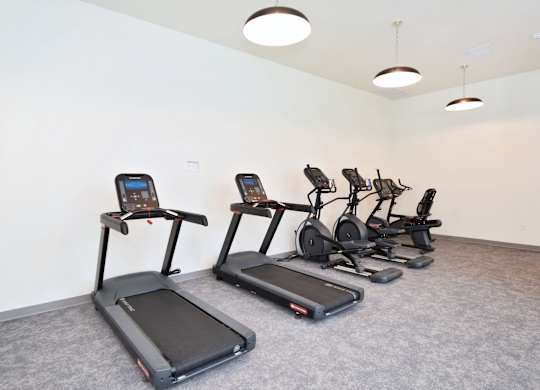 A row of treadmills and exercise bikes are lined up in a gym.