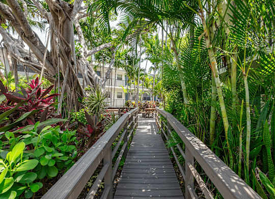 A wooden walkway leads through a lush tropical garden.