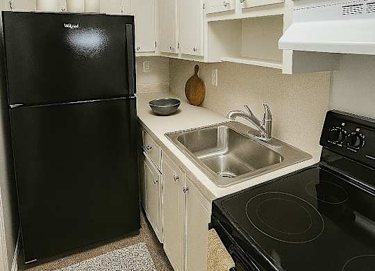 A black refrigerator sits next to a sink in a kitchen.
