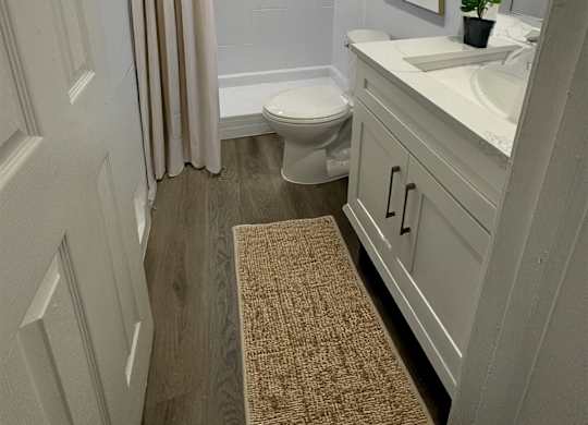 A bathroom with a toilet, sink, and a rug on the floor.