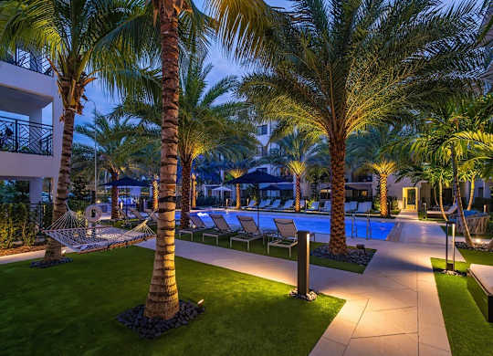 a swimming pool with palm trees and lounge chairs at night