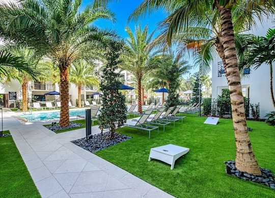 a courtyard with palm trees and lawn chairs and a pool