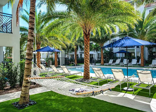 a hammock between palm trees next to a swimming pool