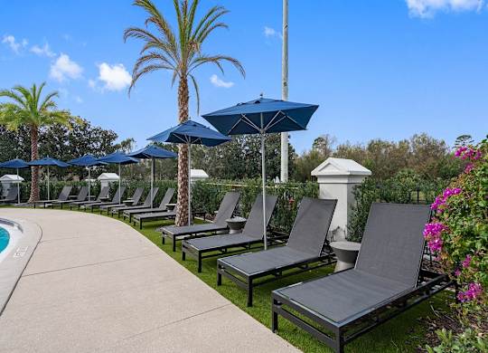 a row of lounge chairs and umbrellas next to a pool