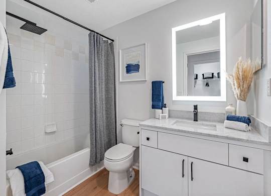 a bathroom with a sink and a toilet and a shower