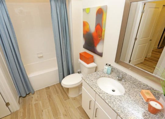 a bathroom with a toilet and a sink and a mirror