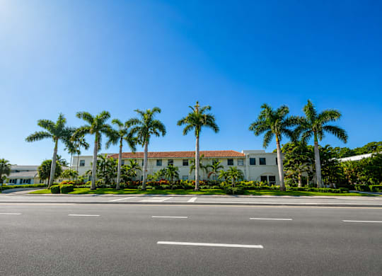 A row of palm trees line the front of a white building.
