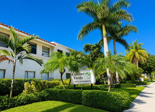 A sign for Camino Verde Senior Apartments is in front of a building with a palm tree.