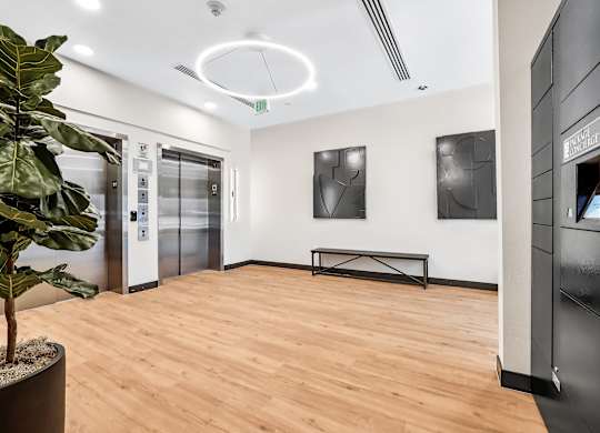 A room with a wooden floor, a potted plant, and two framed pictures on the wall.