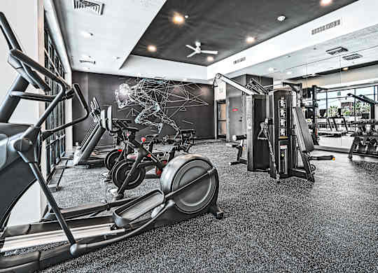 A gym with treadmills, elliptical machines, and other exercise equipment.