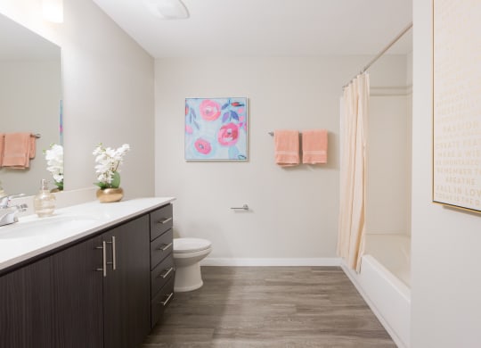 Modern Apartment Bathrooms At Union at Roosevelt Apartments In Phoenix, AZ