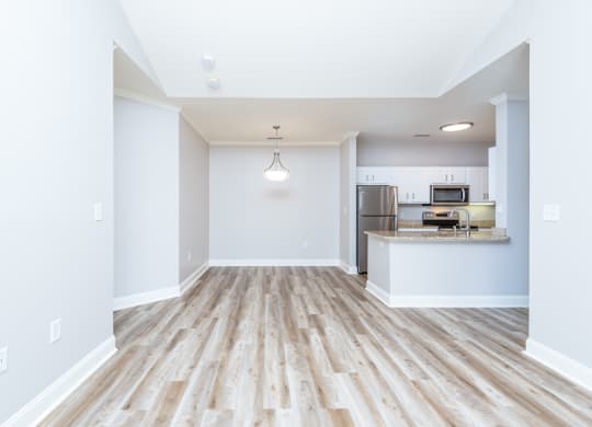 Drum Hill 2 Bedroom Apartment Kitchen with laminate flooring and high ceilings.