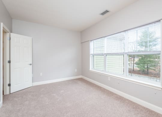 Drum Hill 2 Bedroom Apartment bedroom two with plush carpeting and extra large window
